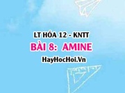 Khái niệm Amine? Tính chất hóa học của Amine, tính chất vật lí, điều chế và ứng dụng Amine? Hóa 12 bài 8 KNTT